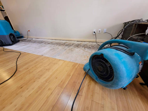 Professional Burst Pipe Water Damage technician working in Williams, AZ